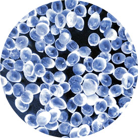 Featherlight & Hypoallergenic