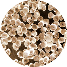 Where Aesthetics Meet Function