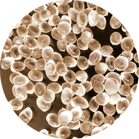 A Canvas for Color & Art